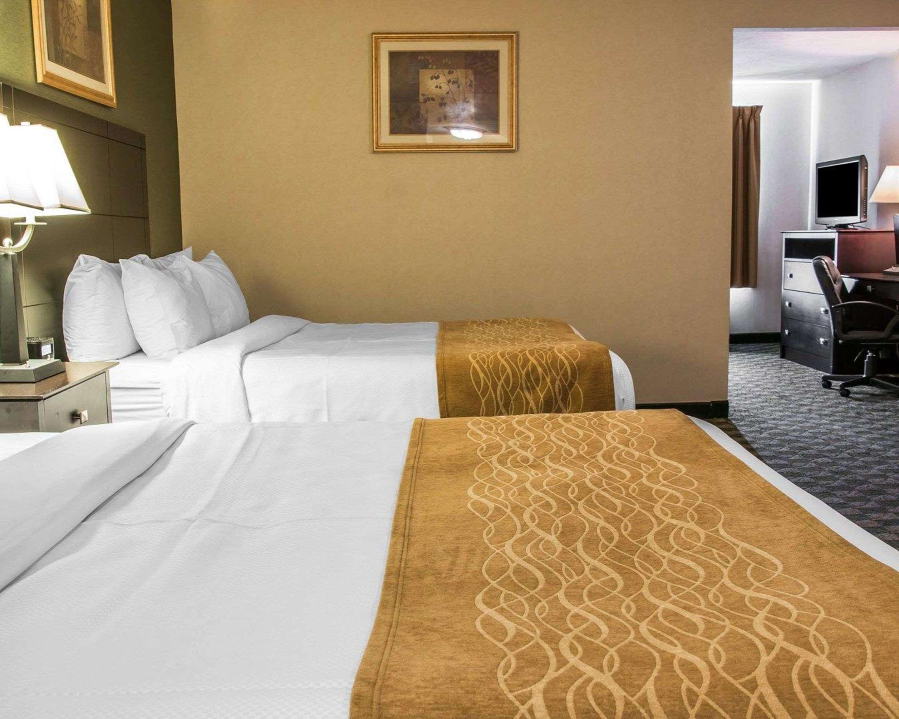 Comfort Inn Whitehall Near Michigan'S Adventure Εξωτερικό φωτογραφία