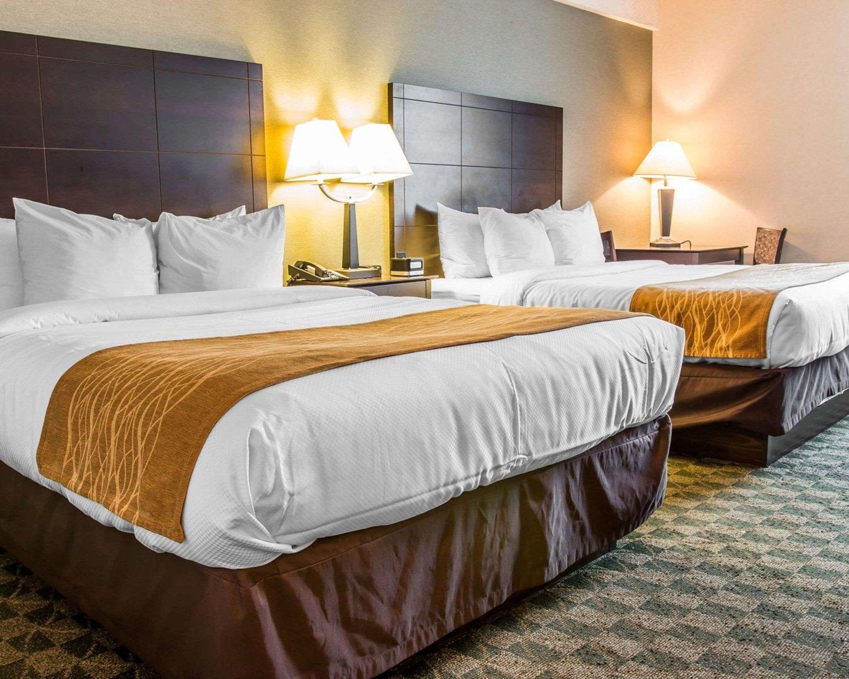 Comfort Inn Whitehall Near Michigan'S Adventure Εξωτερικό φωτογραφία