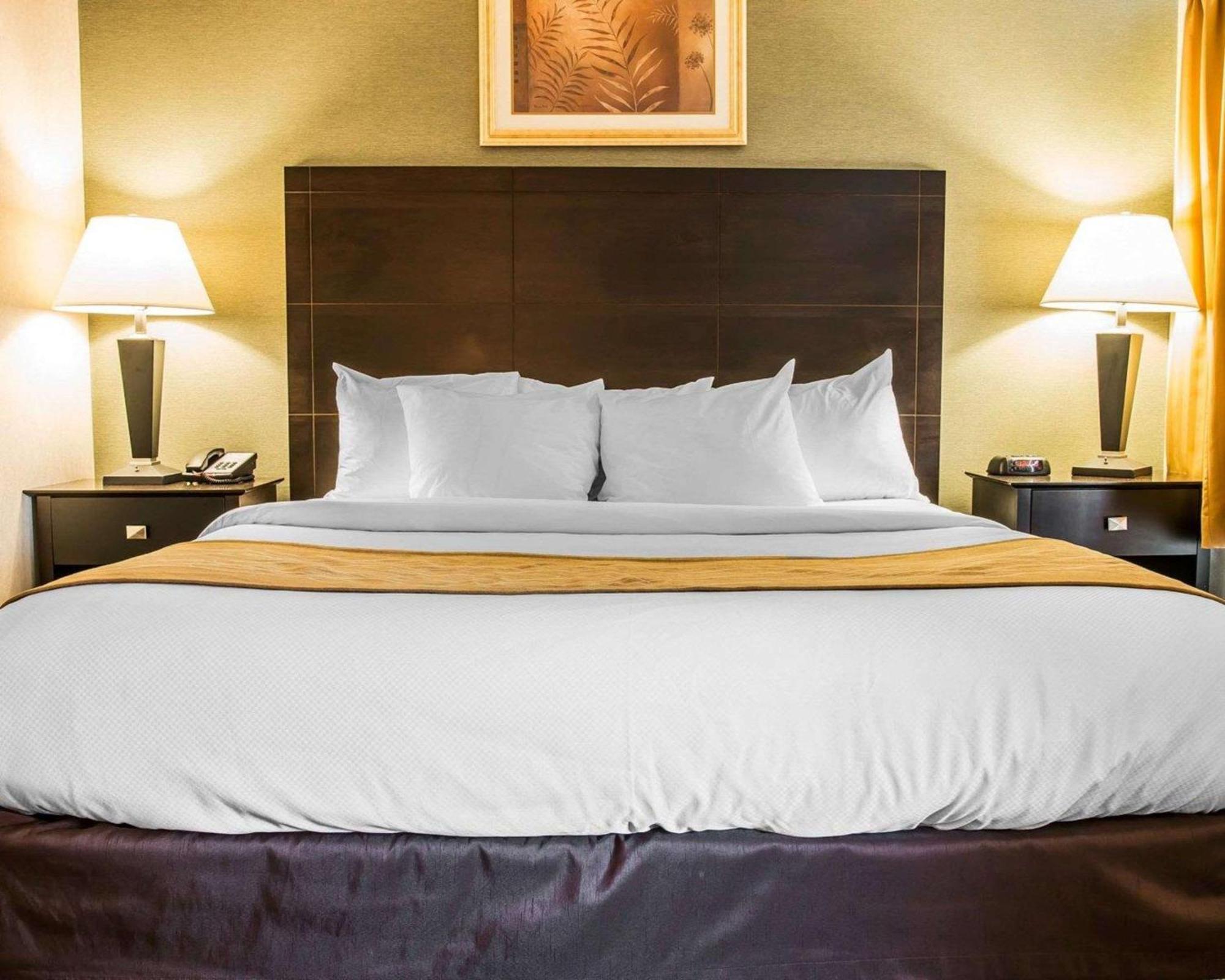 Comfort Inn Whitehall Near Michigan'S Adventure Εξωτερικό φωτογραφία